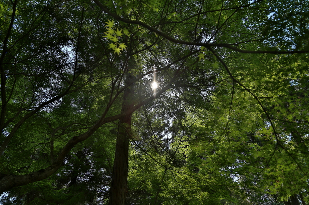 試し撮り　ＨＤＲ