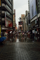 雨の道頓堀
