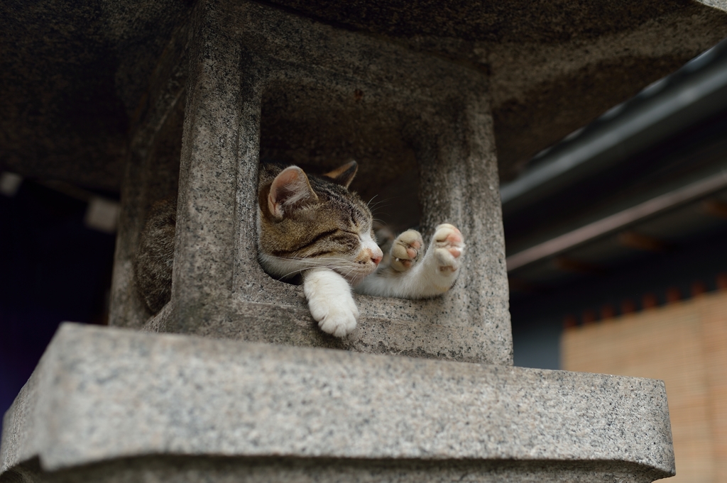 居心地の良い場所