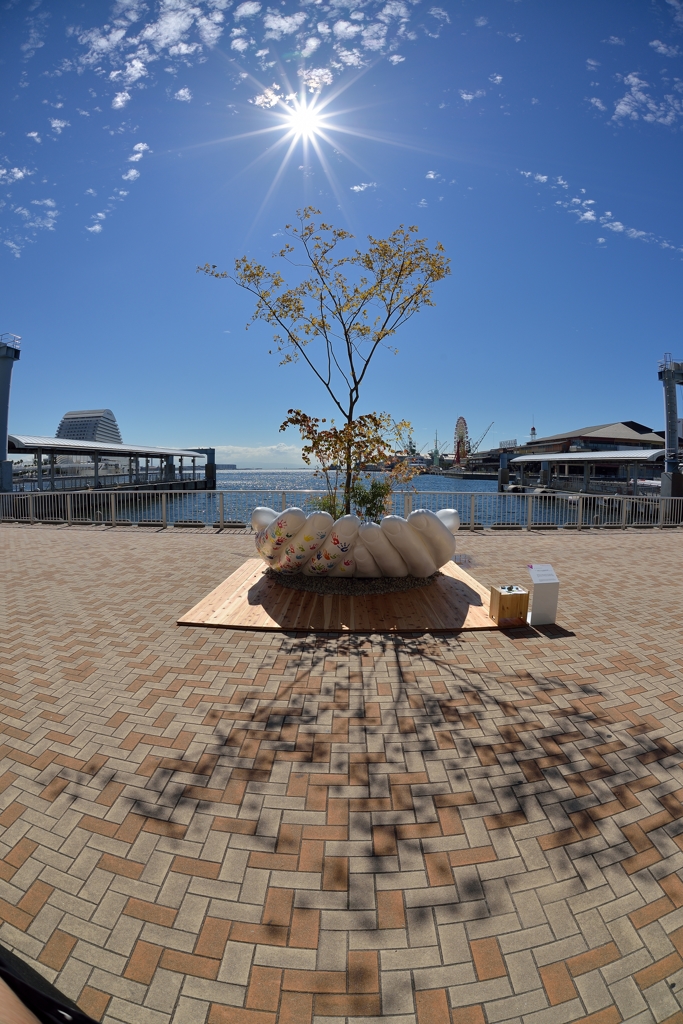 太陽を浴びた芸術