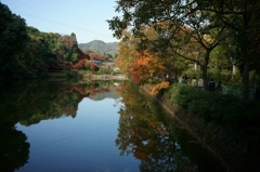 御髪神社へ参詣の後