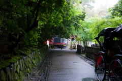 トロッコ列車が通過