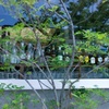 呑み過ぎ