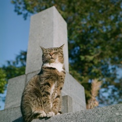 おやすみ