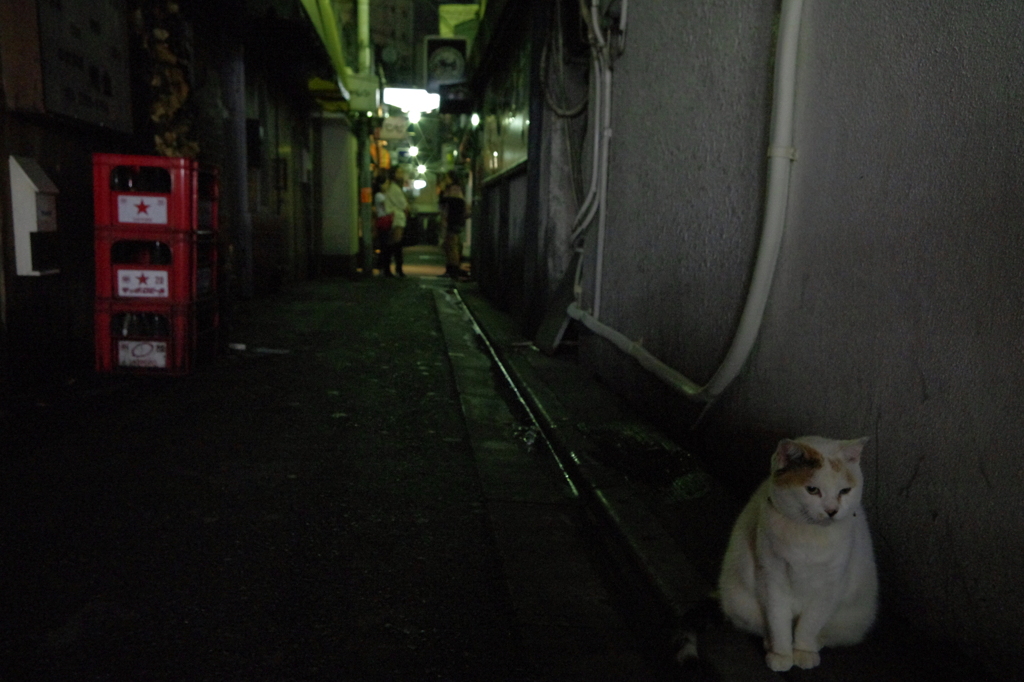 ゴールデン