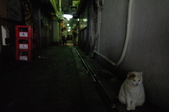 ゴールデン