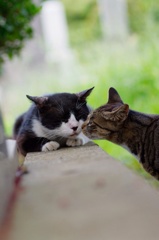 Kiss