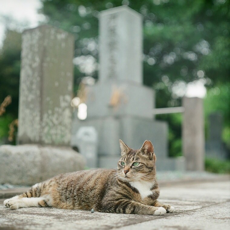 お嬢さん