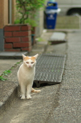 む