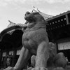 神田明神の狛犬