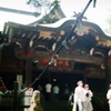 ビオメター対決？②