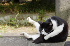 夏の身だしなみ