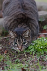 むむむ？