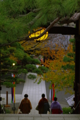 茶の香り