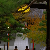 茶の香り