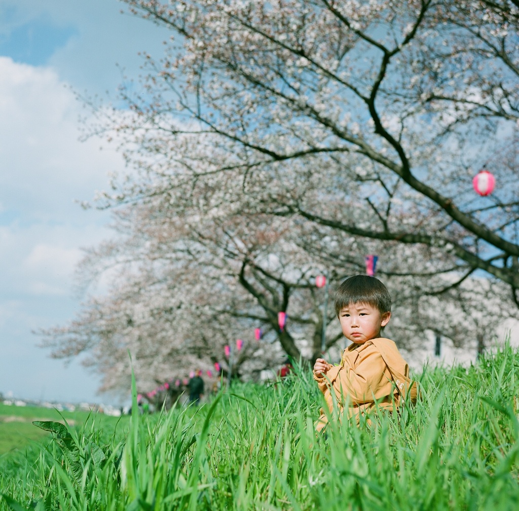 花よりビスケット