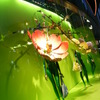 GINZA VISIT