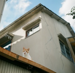 おや？
