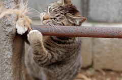 むぎゅ