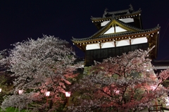 城桜