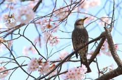 食いしん坊の証明