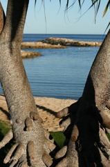 Ko Olina