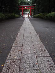 雨の参道