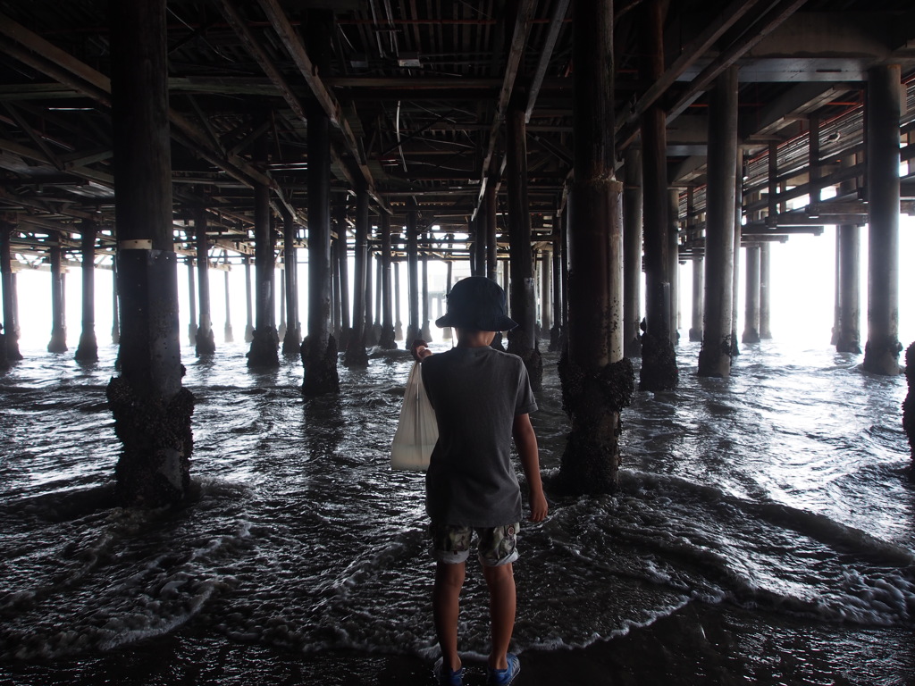 Santa Monica Pier