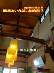 CARRRV  17　5-2