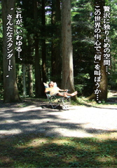 DSC02069s%E3%81%AE%E3%82%B3%E3%83%94%E3%