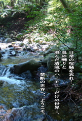 GARRRV盛夏増刊　０１