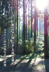 GARRRV盛夏増刊　１０