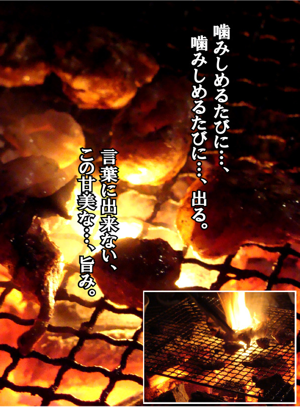 12月号　2 のコピー