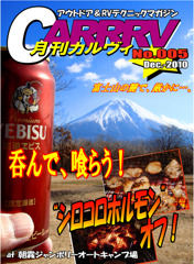 ＣARRRV5イラレ のコピー