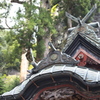 榛名神社