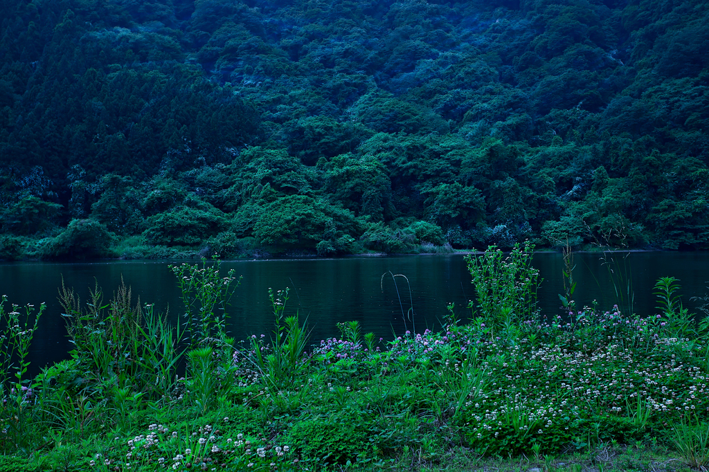 雨の湖畔