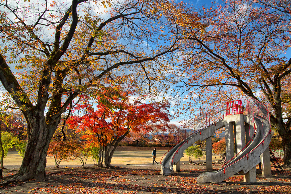 Autumn in the park.