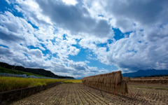 田園と空