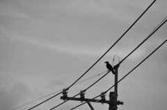 CSC_0748