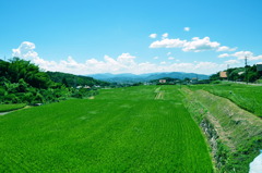 CSC_0119