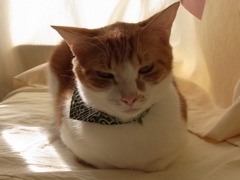 あん？
