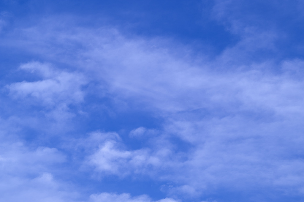青空きれいだよ