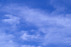 青空きれいだよ