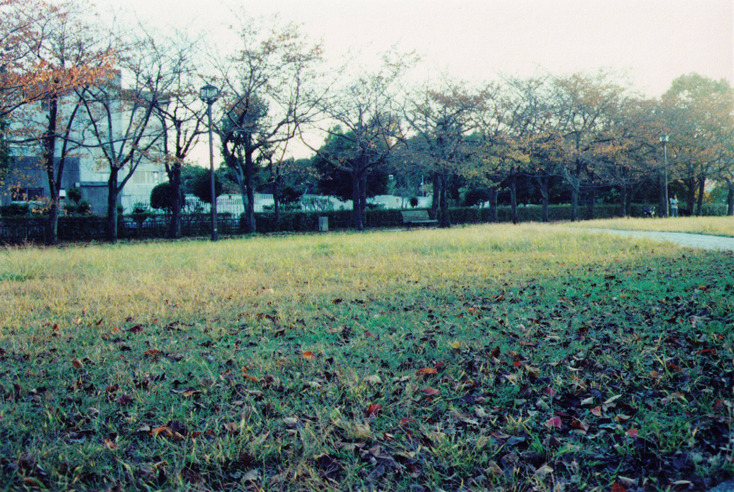 公園