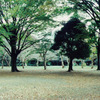 代々木公園