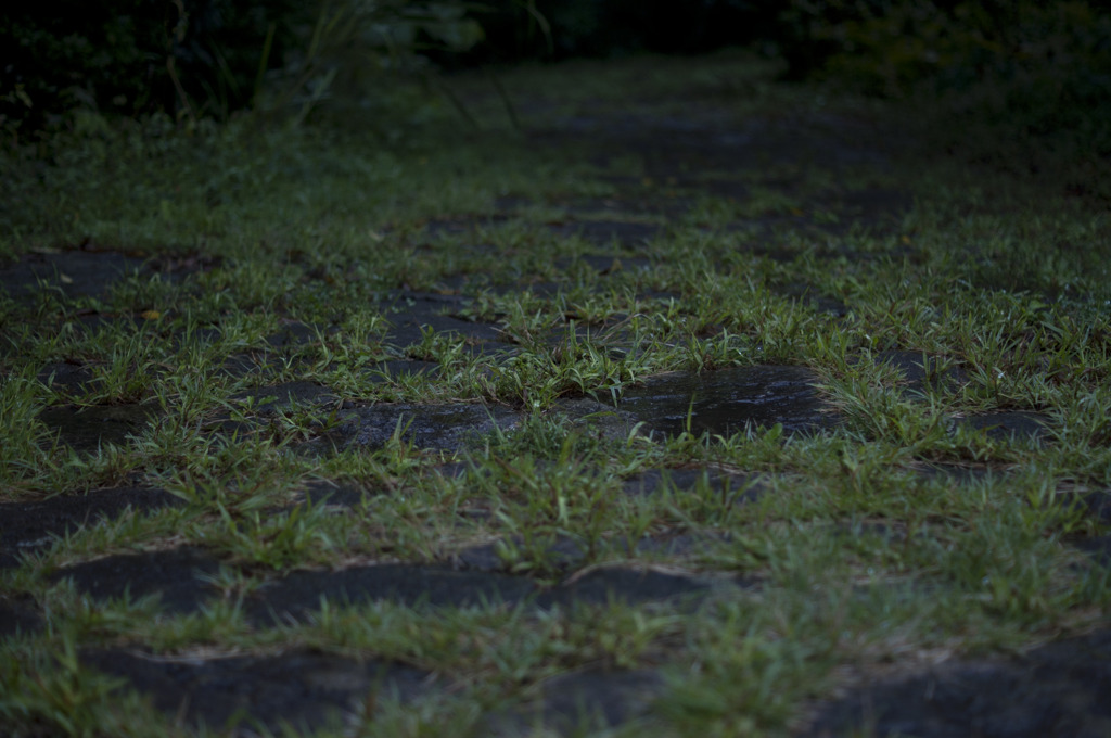 雨の憂うつ