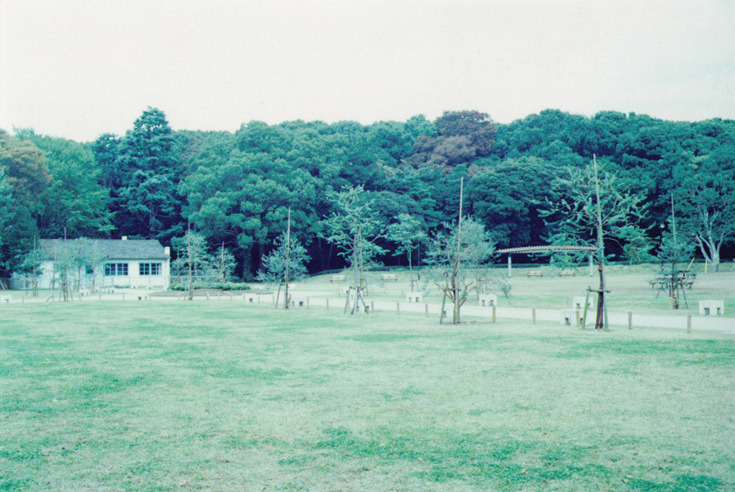 代々木公園
