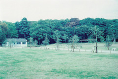 代々木公園