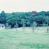 代々木公園
