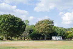 公園